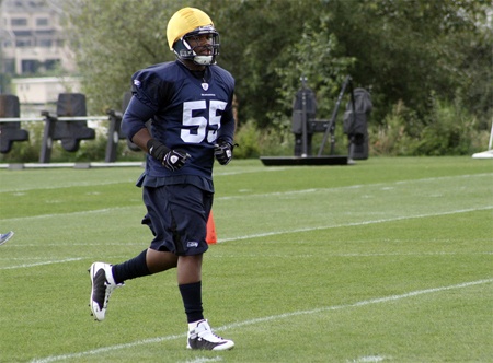 Darryl Tapp at a training camp practice.