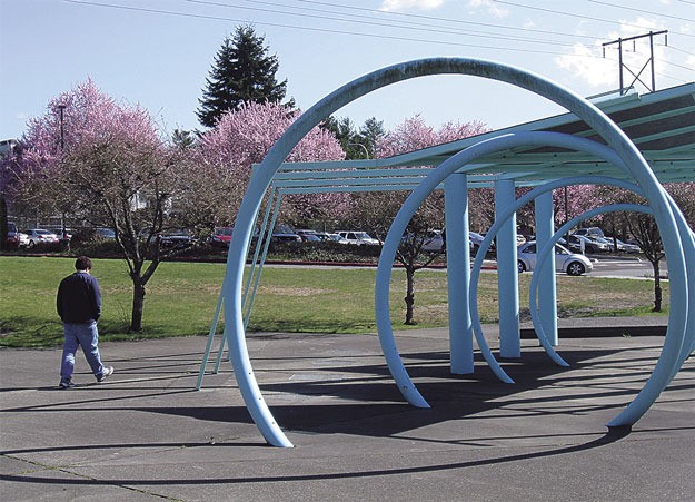 Blue skies and cherry blossoms provided a great backdrop for a walk earlier this week around the Renton Technical college campus. Hopefully you enjoyed the sun while it lasted.