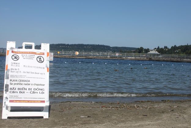 Only the ducks were able to swim Monday at Coulon park due to high levels of bacteria in the water.