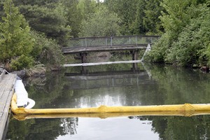 Booms were placed in Johns Creek last May in Gene Coulon Memorial Beach Park to collect cooking oil.