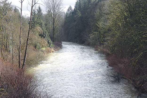 Recent rains and warmer temperatures has caused the Cedar River