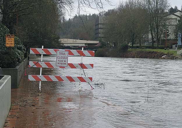 Persistent rains have caused the Cedar River to overflow its banks and the city to close part of the Cedar River Trail to pedestrians.