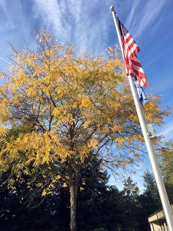 This week was Veterans Day and we felt it was only right to include this photo of the colors - and the Colors - behind the Senior Center