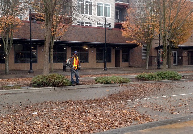 The autumn weather means city workers have switched from lawn-mowing to leaf-blowing.