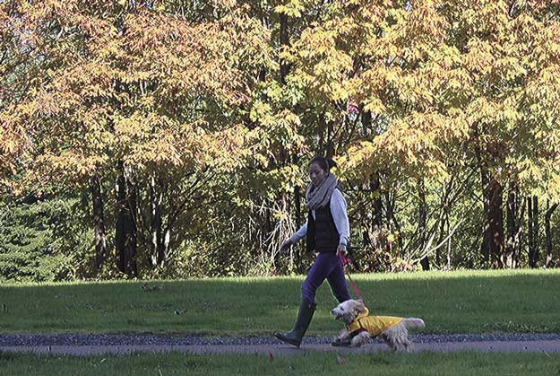 The changing seasons mean fall colors along the Cedar River Trail as well as cooler temperatures and rain jackets