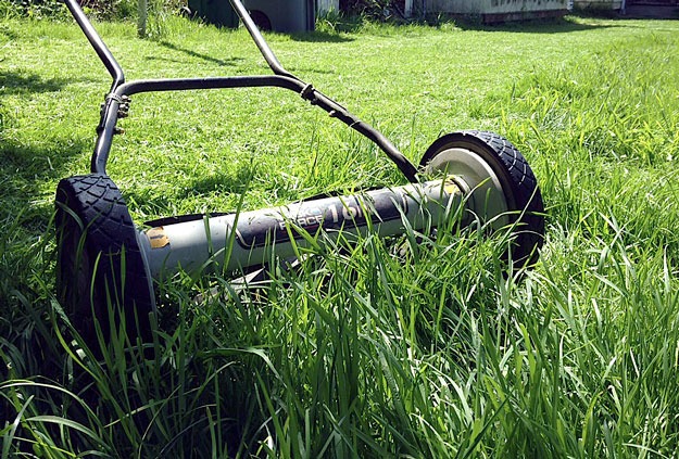 Editor Brian Beckley has been spending his weekend afternoons in the yard mowing. Send us a photo to show what you are doing with the summer weather.