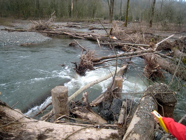 This logjam on the Cedar River is near 17600 Jones Road Southeast of State Route 169. Sheriff Sue Rahr has closed a four-mile stretch of the river because of the danger posed by four logjams.