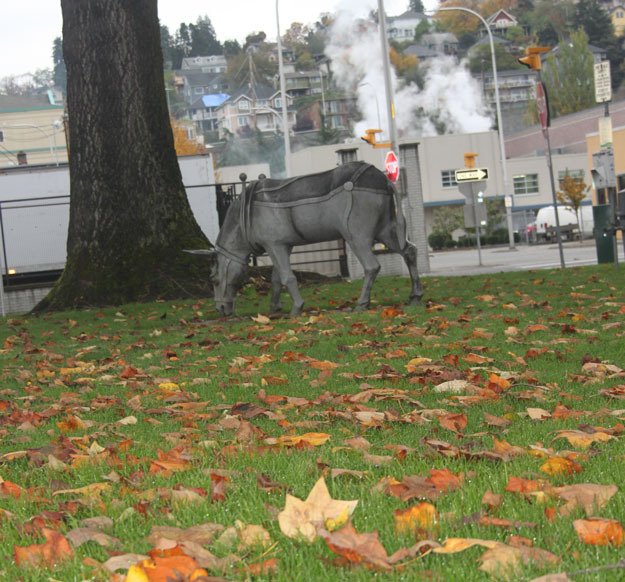 Wet grass and fallen leaves are the predominant looks around town these days as fall shifts into full gear.