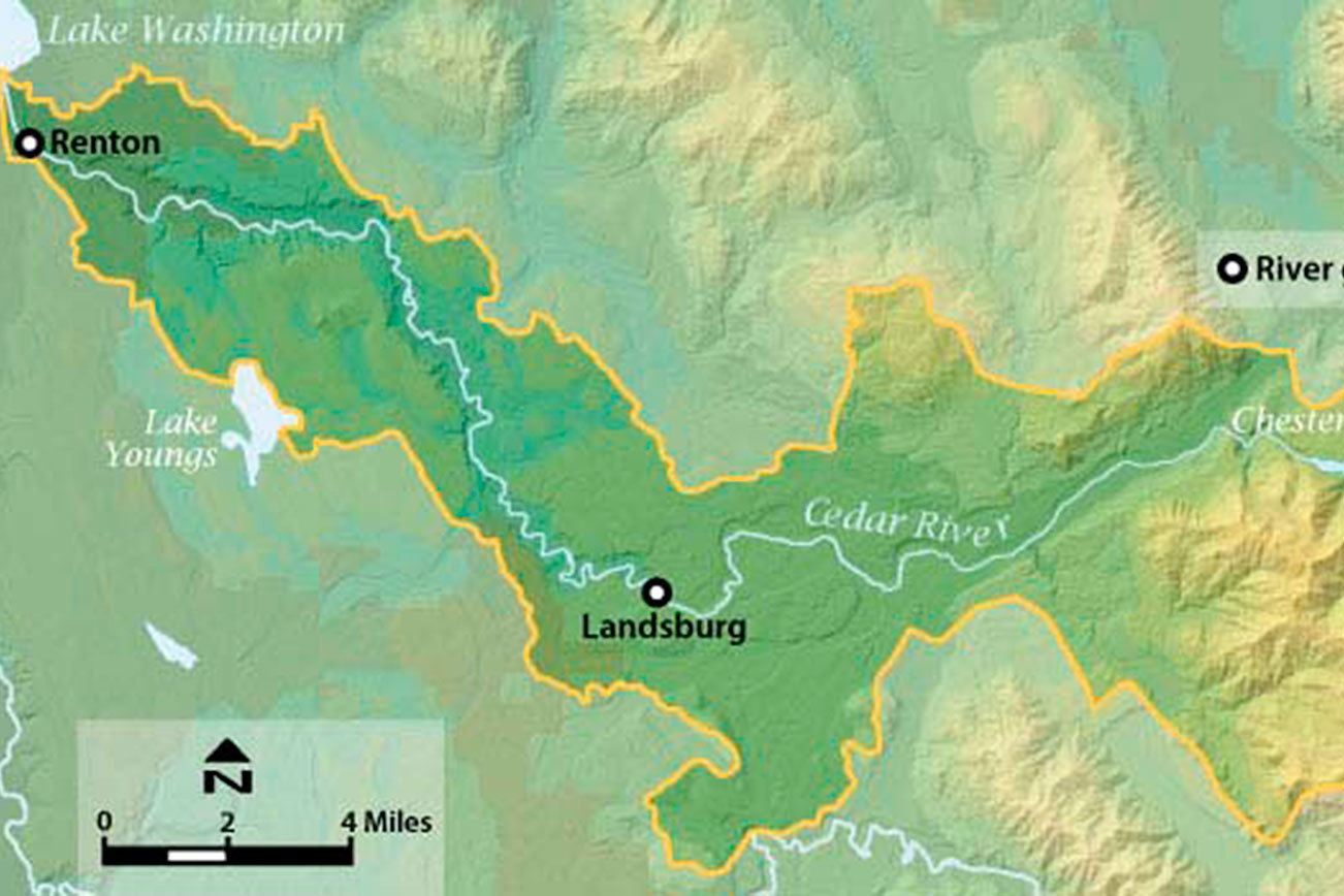 Lower Cedar River closed to recreational use because of several dangerous logjams