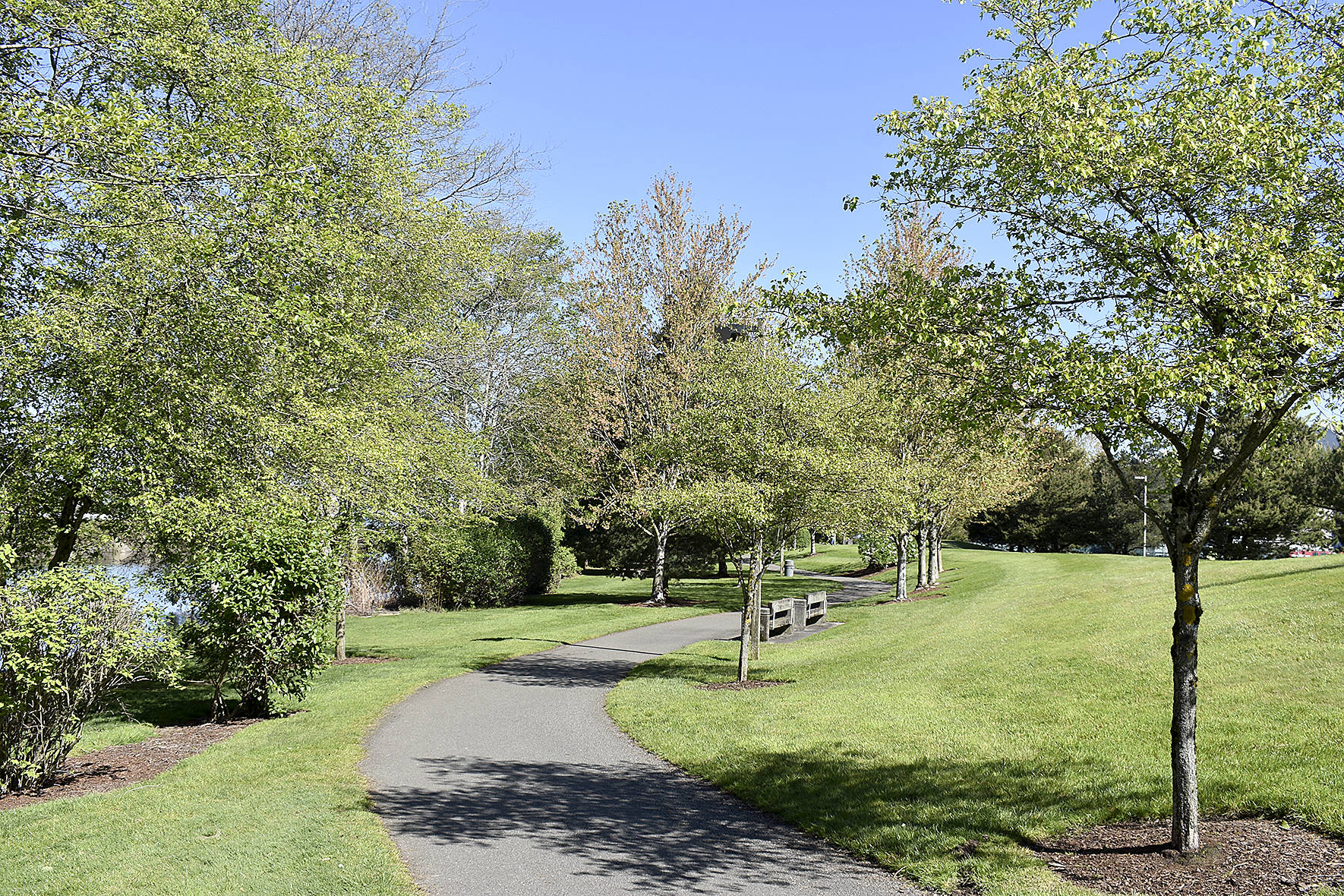 Photo by Haley Ausbun                                From the Reporter archives. Cedar River Park Trail on a sunny spring day, May 2019.