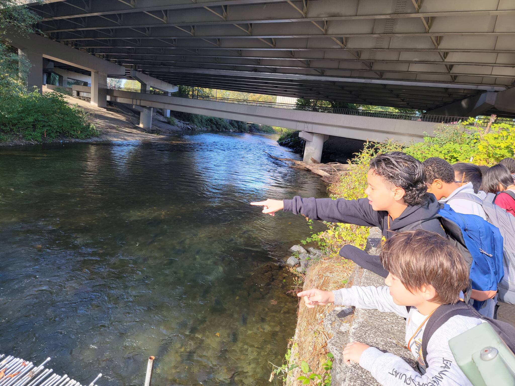 Photo courtesy of Carolyn Colley.
Students look for salmon in the Cedar River in October 2022.