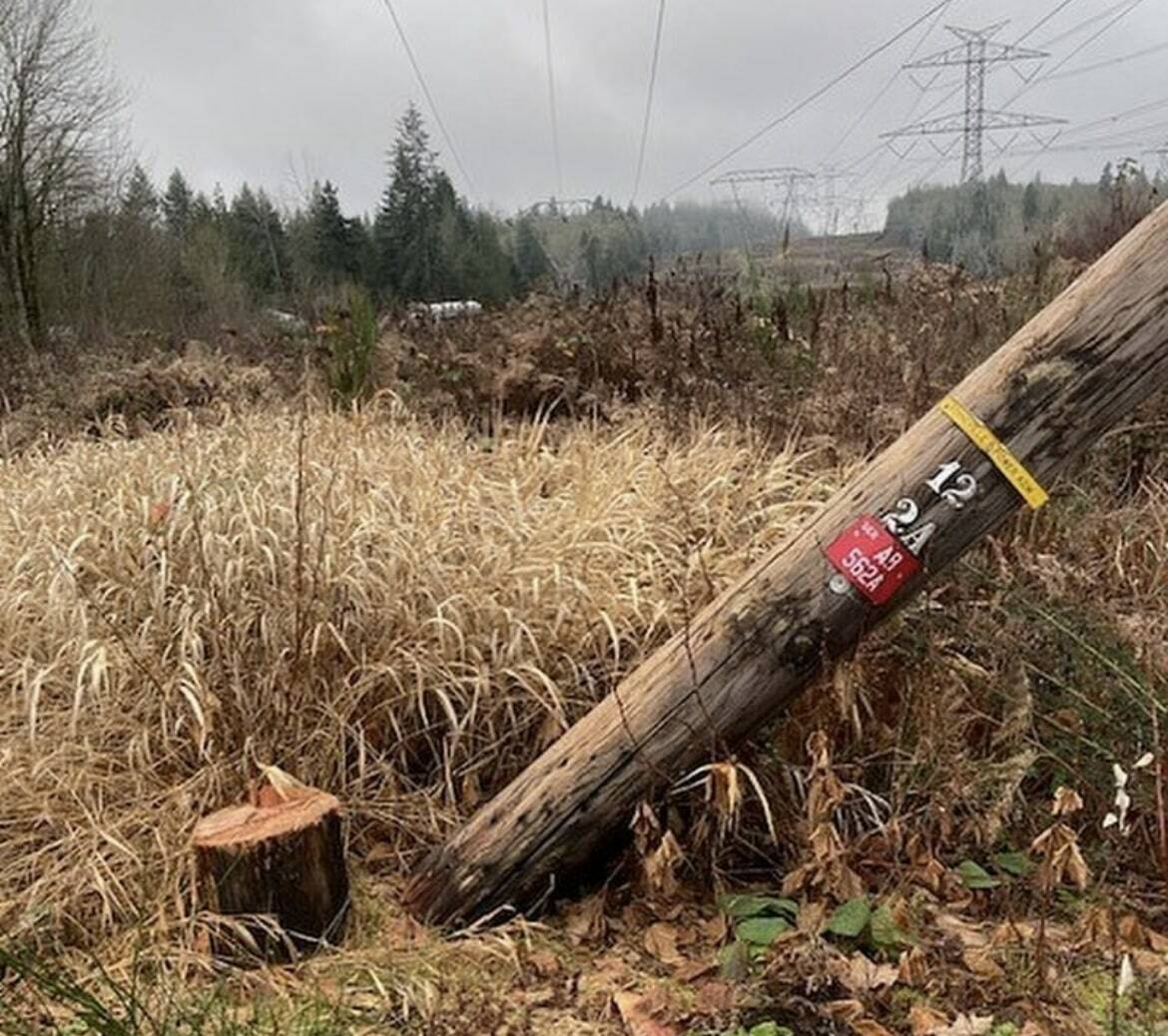 Vandals damage electricity infrastructure in South King County | Renton Reporter