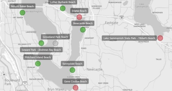 As of June 11, Gene Coulon Beach is one of several throughout the county that are closed due to high levels of bacteria. Courtesy of King County.