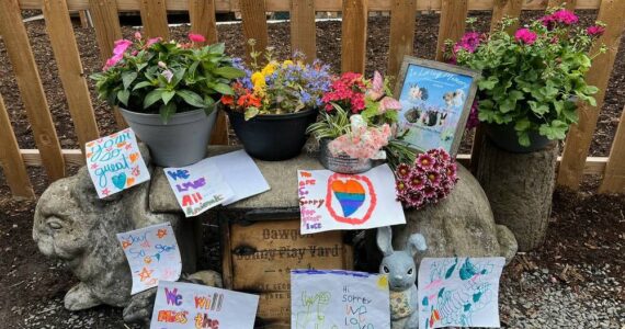 In the wake of the fire, the sanctuary has received an outpouring of flowers, cards and donations from the community. Photo courtesy of the Sammamish Animal Sanctuary.