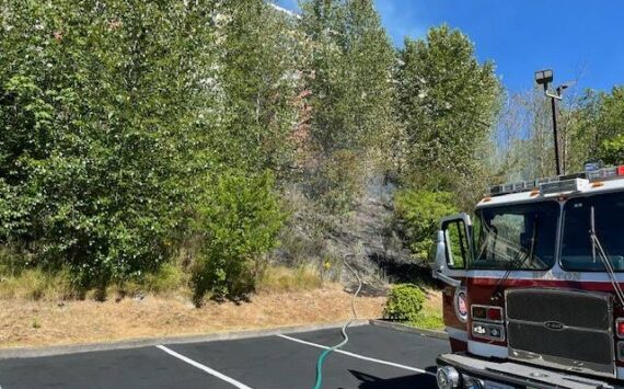 Individuals discharging fireworks ignited a hillside brush fire near the Heritage Hills Apartments on July 4. (Courtesy of the Renton Police Department.)