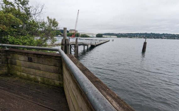 Overlook of Lake Washington at Gene Coulon Park in Renton. File photo