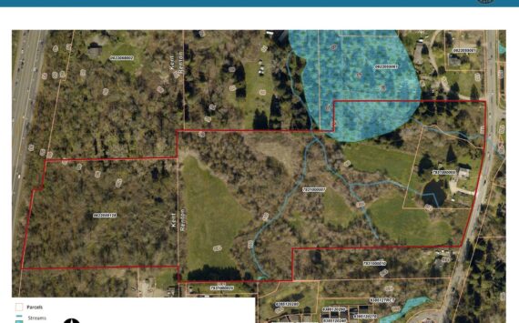 Project site for Cleveland Richardson Park with its environmental features, as seen in a screenshot from the agreement with Bruce Dees & Associates for the Cleveland Richardson Park Master Plan submitted to Renton City Council. Courtesy image