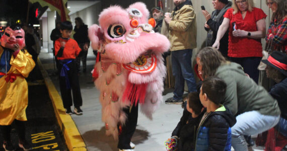 The Golden Peacock in Renton recently celebrated its 45th anniversary with a special community event, featuring a traditional Lion Dance in the celebration! Photo by Bailey Jo Josie/Sound Publishing.