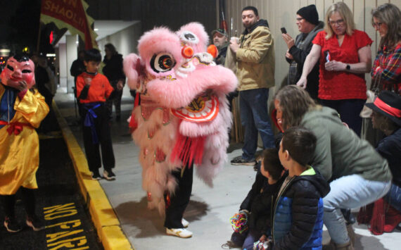 The Golden Peacock in Renton recently celebrated its 45th anniversary with a special community event, featuring a traditional Lion Dance in the celebration! Photo by Bailey Jo Josie/Sound Publishing.