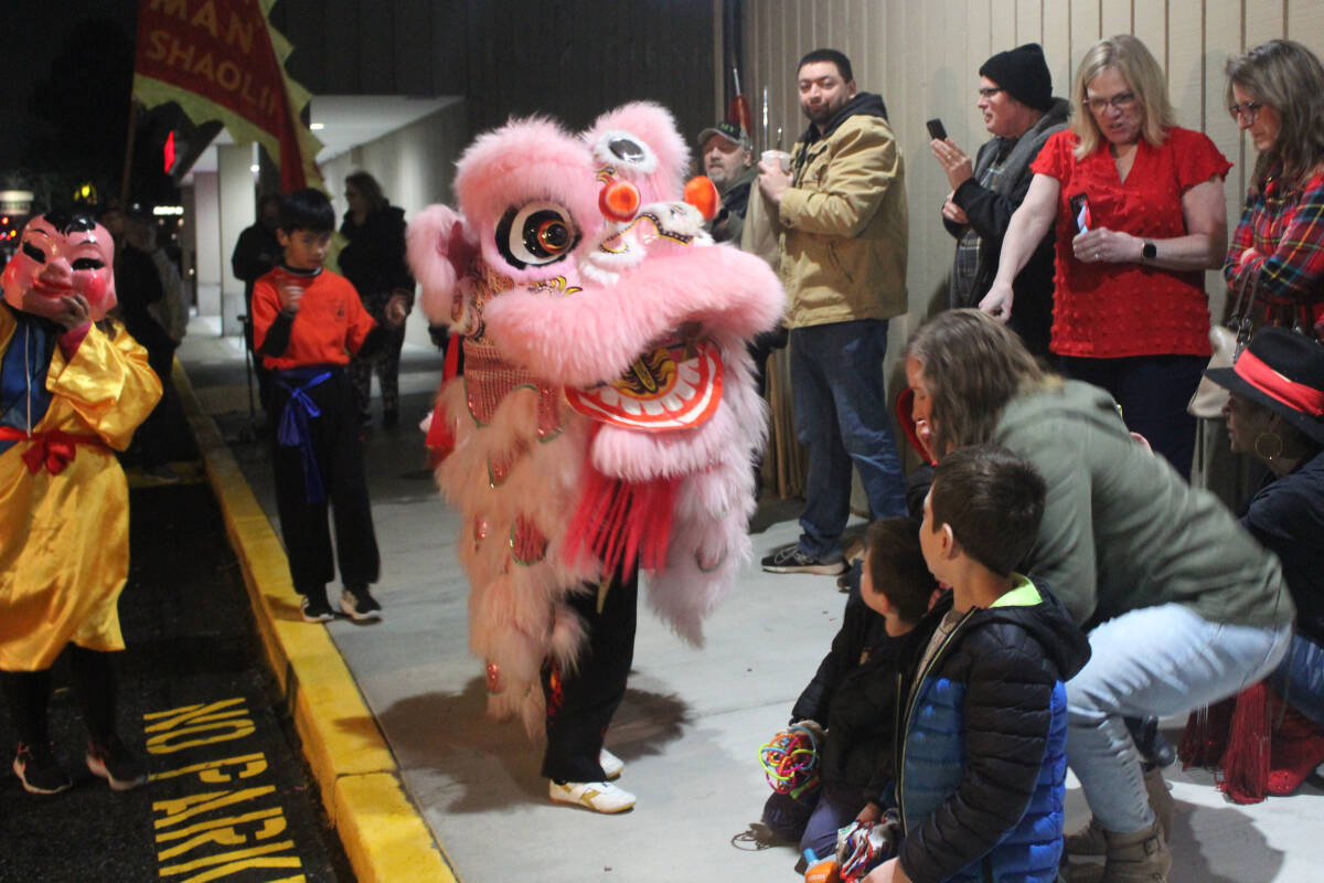 The Golden Peacock in Renton recently celebrated its 45th anniversary with a special community event, featuring a traditional Lion Dance in the celebration! Photo by Bailey Jo Josie/Sound Publishing.