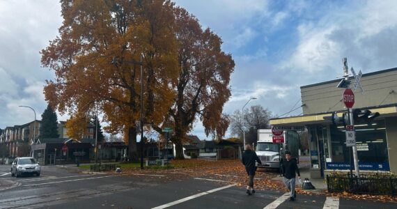 Downtown Renton on Houser Way and Williams Ave. S. Photo by Joshua Solorzano/The Reporter