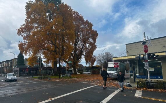 Downtown Renton on Houser Way and Williams Ave. S. Photo by Joshua Solorzano/The Reporter