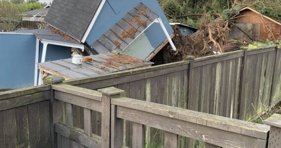 An uprooted tree in the Nov. 19 “bomb cyclone” resulted in damage to a Renton residence. (Courtesy photo)