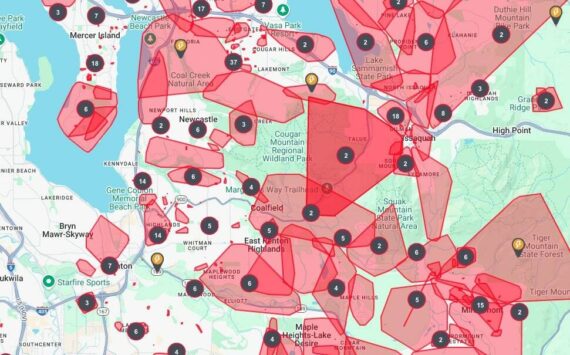 Power outage map from Puget Sound Energy for the Renton area as of 3:45 p.m. Friday, Nov 22. (Screenshot)