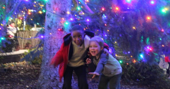 Two boys pose for a photo under the Renton Christmas tree in Piazza Park. Photo by Bailey Jo Josie/Sound Publishing.