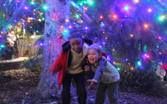 Two boys pose for a photo under the Renton Christmas tree in Piazza Park. Photo by Bailey Jo Josie/Sound Publishing.