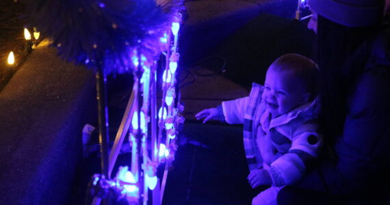 Small children went gaga for the Clam Lights in Renton. Photo by Bailey Jo Josie/Sound Publishing.