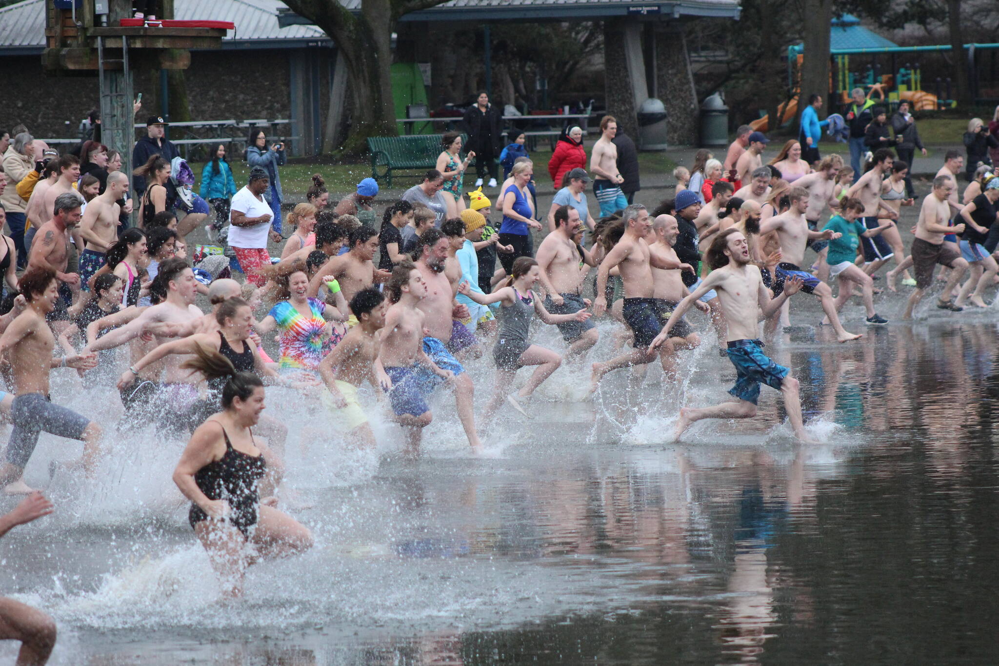 A past Polar Bear Plunge at Renton’s Gene Coulon Park. File photo